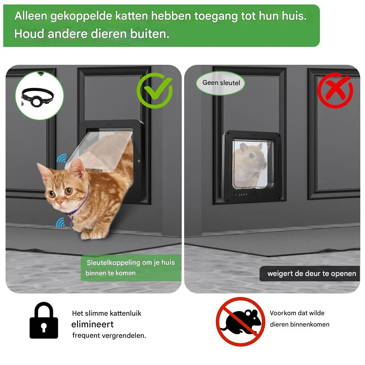 Porta Elettronica per Gatti Porta Per Cuccioli Con Blocco 4 Vie, | Accesso Controllabile per Cani Per Interni Ingresso Parete Patio Balcone Casa Garage