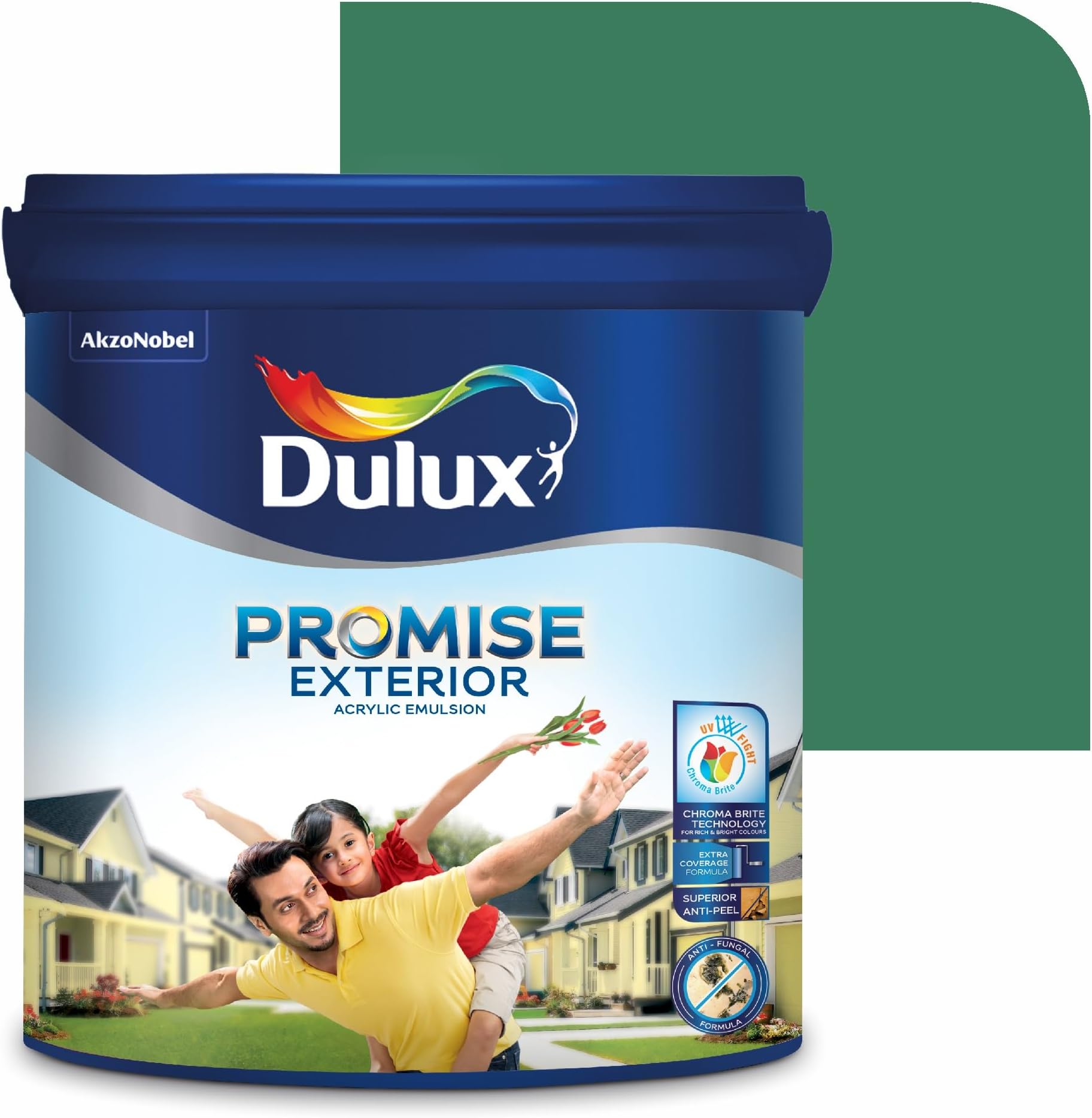 Dulux Promise Exterior Emulsion Paint (10L, Frosted Green) | Ideal for Exterior Walls | Smooth Finish | Anti-Peel & Anti-Crack | Long-Lasting Colors