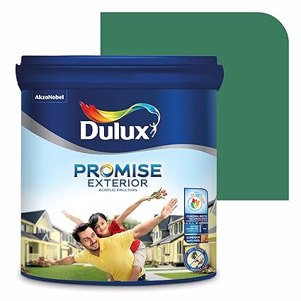 Dulux Promise Exterior Emulsion Paint (4L, Frosted Green) | Ideal for Exterior Walls | Smooth Finish | Anti-Peel & Anti-Crack | Long-Lasting Colors