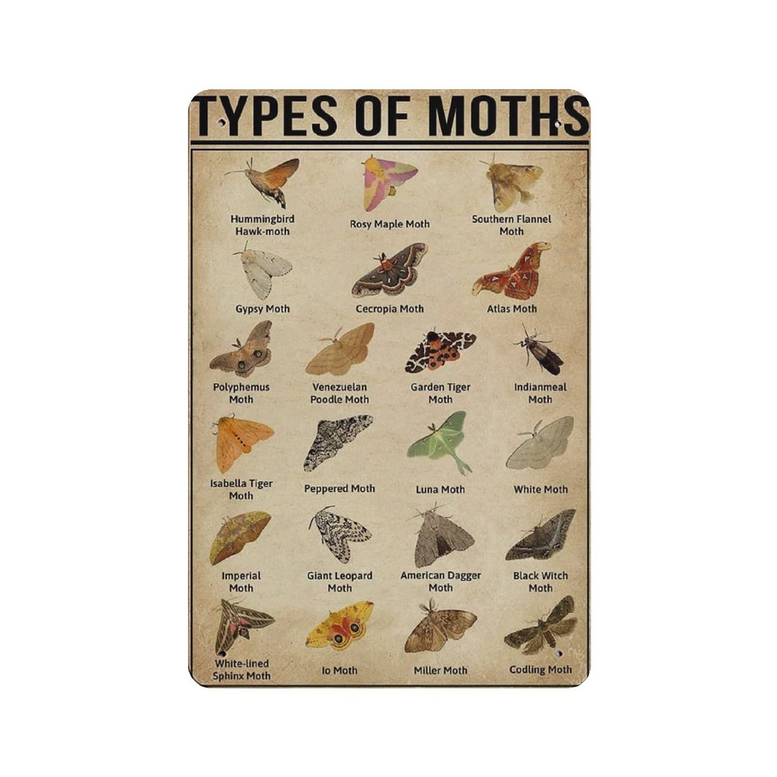 rayprint Knowledge Type of Moth Species Tin Sign Metal Plaque Art Hanging Iron Painting Retro Home Kitchen Garden Garage Wall Decor 12"x8"