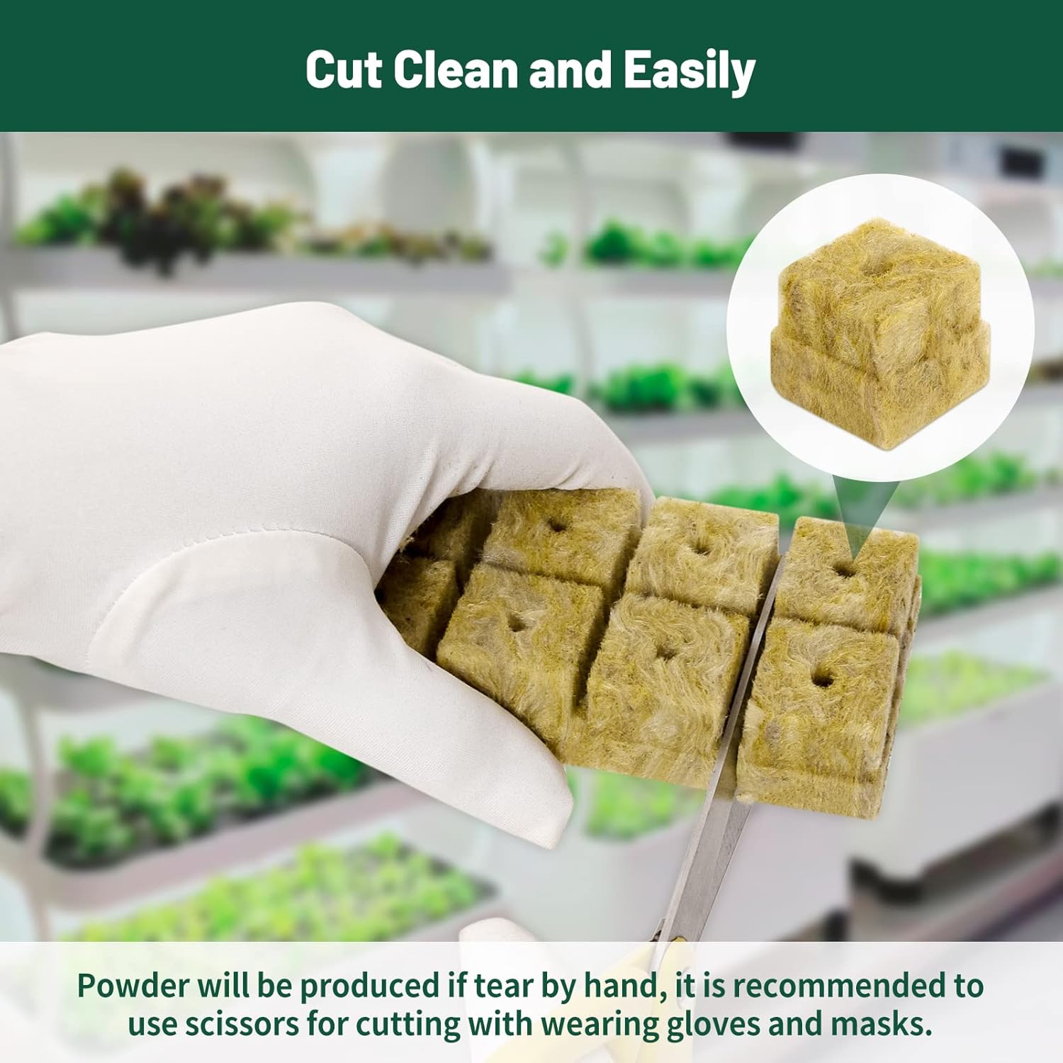 1" Rockwool Cubes for Hydroponics 200 Plugs with 50 Pack 1.5 inch Net Pots Hydroponics Supplies Cups for Rooting, Clone Plants, Starting Seeds, Ideal Rockwool for Hydroponic Growing