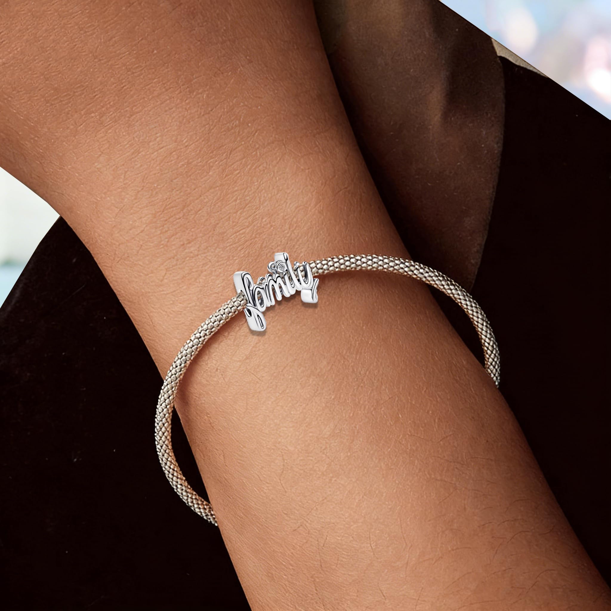 Familie, Freundschaft und Liebe Charm Anhänger | 925 Sterlingsilber mit 5A Zirkonia | Passend für europäische Armbänder und Halsketten | Eleganter Schmuck für Damen