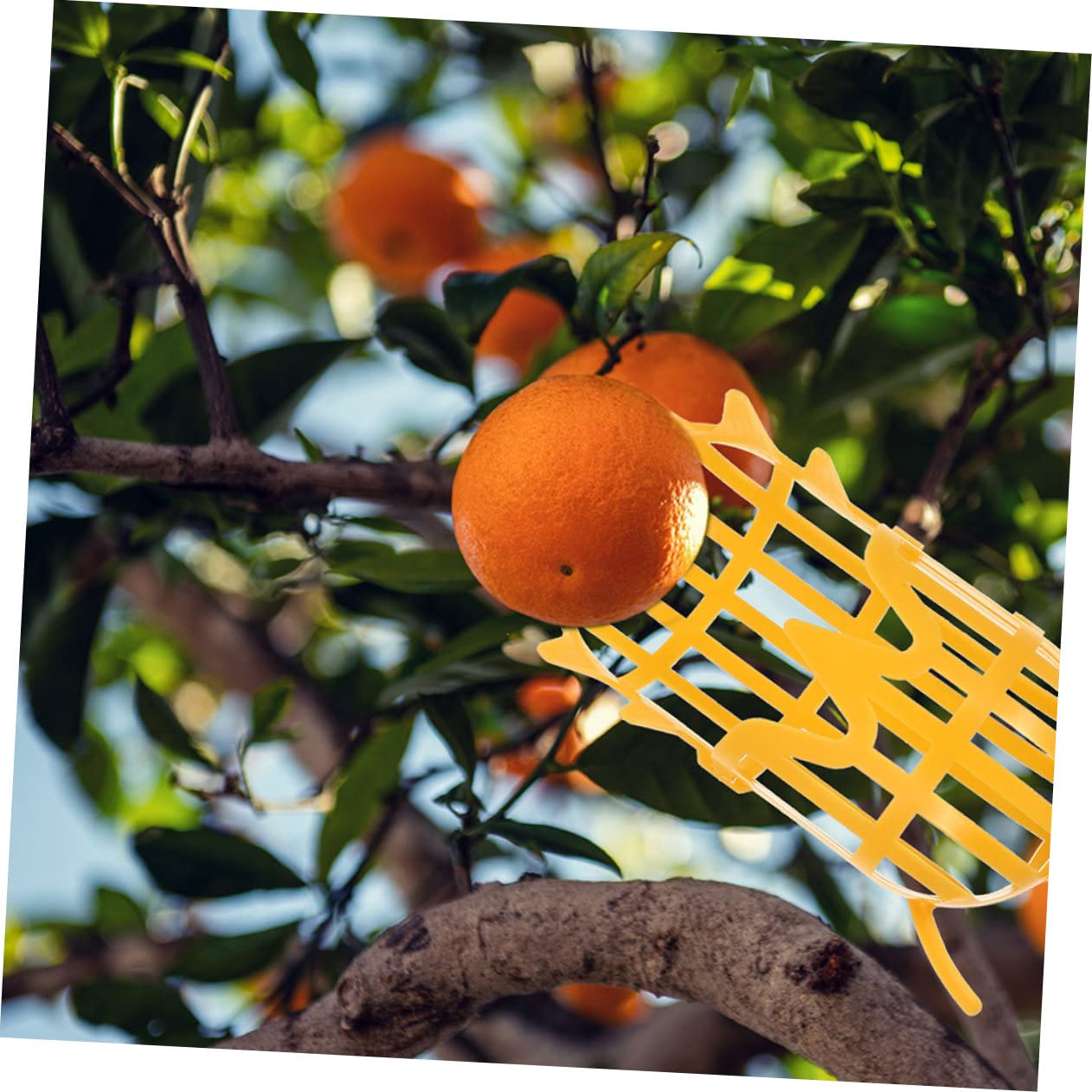 Levemolo 2pcs Fruit Picker Fruit Harvesters Orange Picker Basket Pear Tools Farm Tool Peach Tools Orchard Tool Farm Fruit Container Work-Saving Tool Oranges Picker