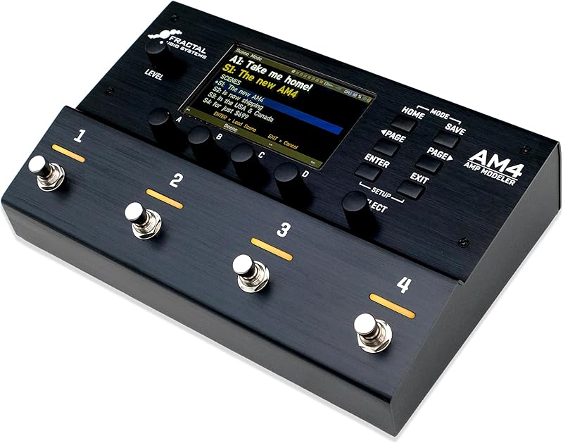 Fractal Audio Systems AM4