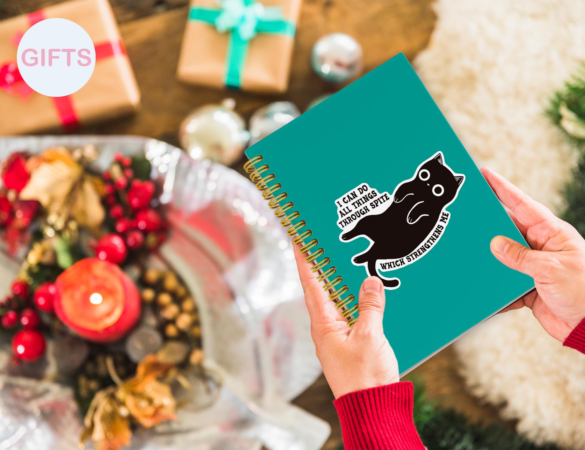 ICEWHITEY Taccuino divertente con gatto nero, regalo con gatto nero, I Can Do All Things Through Spite Journal, regalo sarcastico per donne, uomini, colleghi, forniture per ufficio con gatti, quaderno