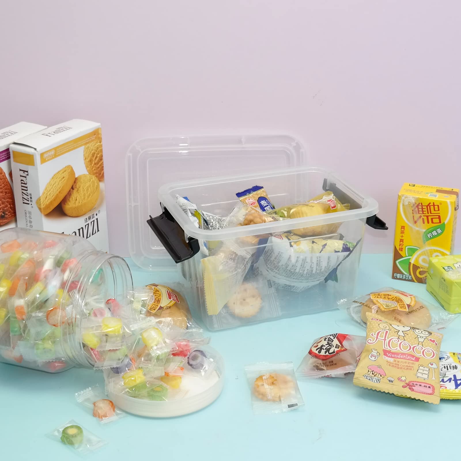 5.5 L Scatole con Coperchio Plastica, Scatola Plastica, 6 Unità