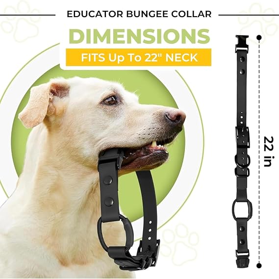 3/4 e-Collar Bungee Collar Strap, Waterproof (3/4, Pink)