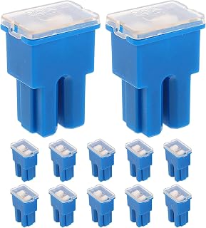 Mikinona Kit De 12 Minifusibles Para Camión Portafusibles Estándar Para Autocaravana Surtido De Fusibles Para Autocaravana Color Azul