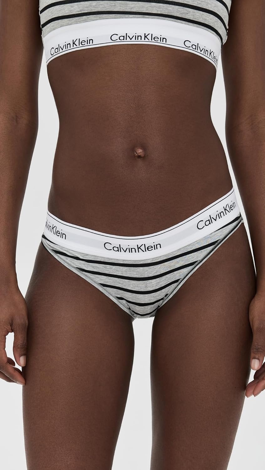 Calvin Klein Women's Modern Cotton Stretch Bikini Panty