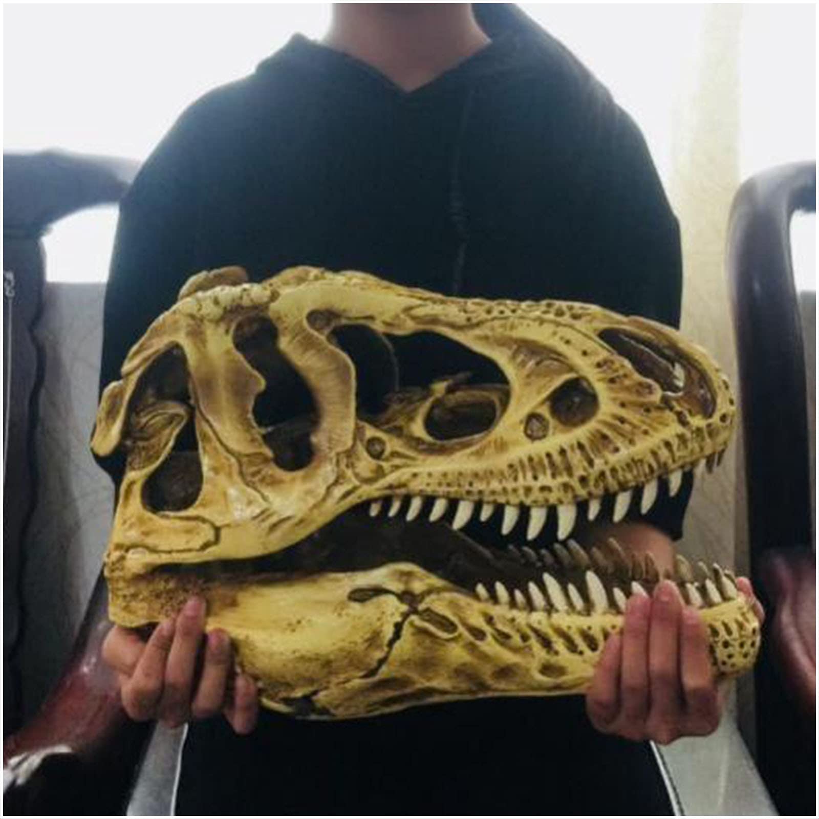 Replika czaszki T-Rexa Model symulowany szkielet zwierzęcia Tyrannosaurus Rex Wystrój biura domowego Rzemiosło Ozdoba na biurko Rekwizyt dydaktyczny