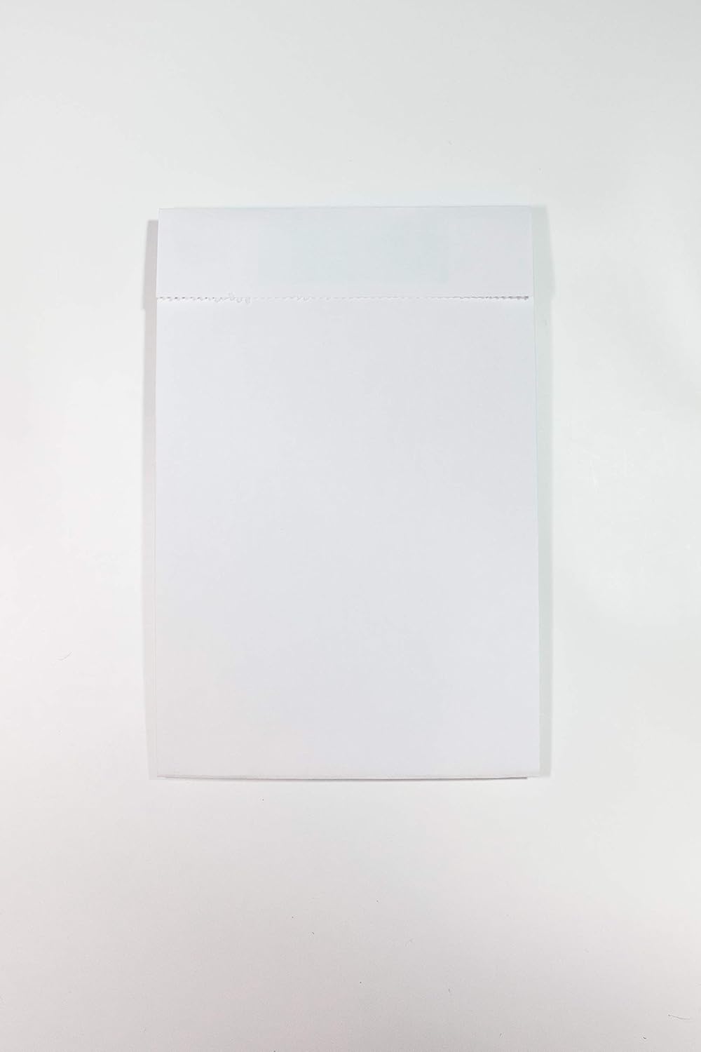 Order Envelope/Order bag 6" x 9" x 1" 100 pack|5535