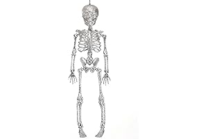 Fun Costumes Silver Posable Hanging Skeleton Boho Chic Glitter Decor