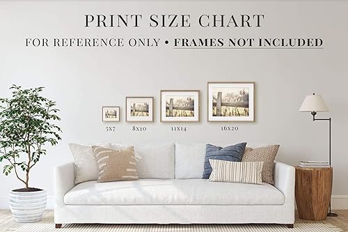 Miniatura 8 de Lisa Russo Fine Art - Barn Landscape Pictures for Country Farmhouse Wall Decor - Set of 4 - Not Framed - White, Blue, Green (4 8x10 Prints Only)