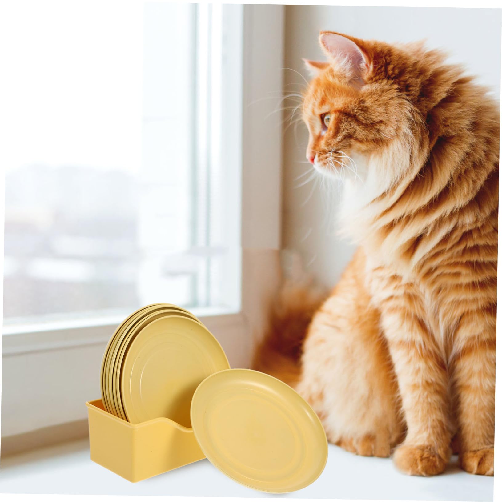 Amazon | GALPADA 8個猫用 食器 プレート 安定基盤付き ペット用 小型 