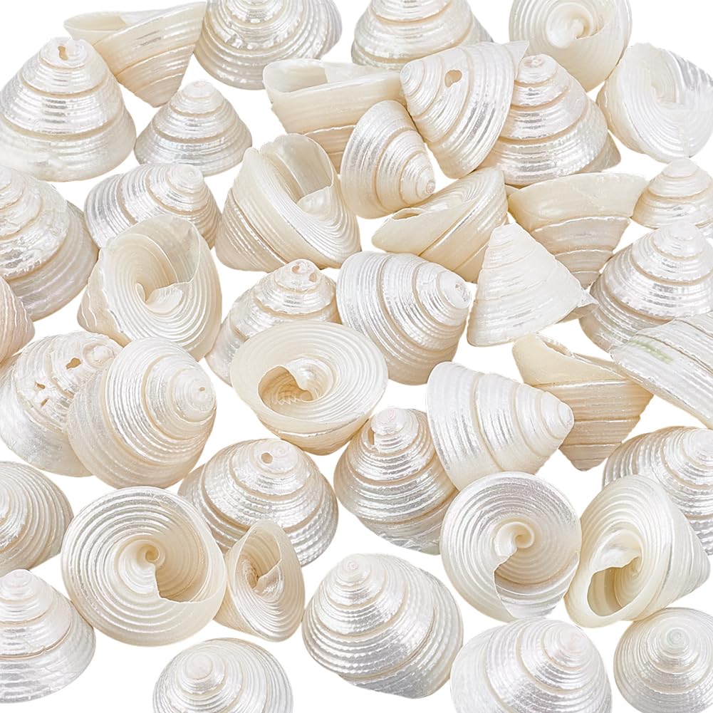 PH PandaHall Natural Undrilled Spiral Seashells, 100g(42pcs) Ocean Beach Sea Shells 0.7~1 inch Floral White NO Hole Shells for DIY Craft Resin Making Wedding Home Party Decor Fish Tank Vase Filler-image-31