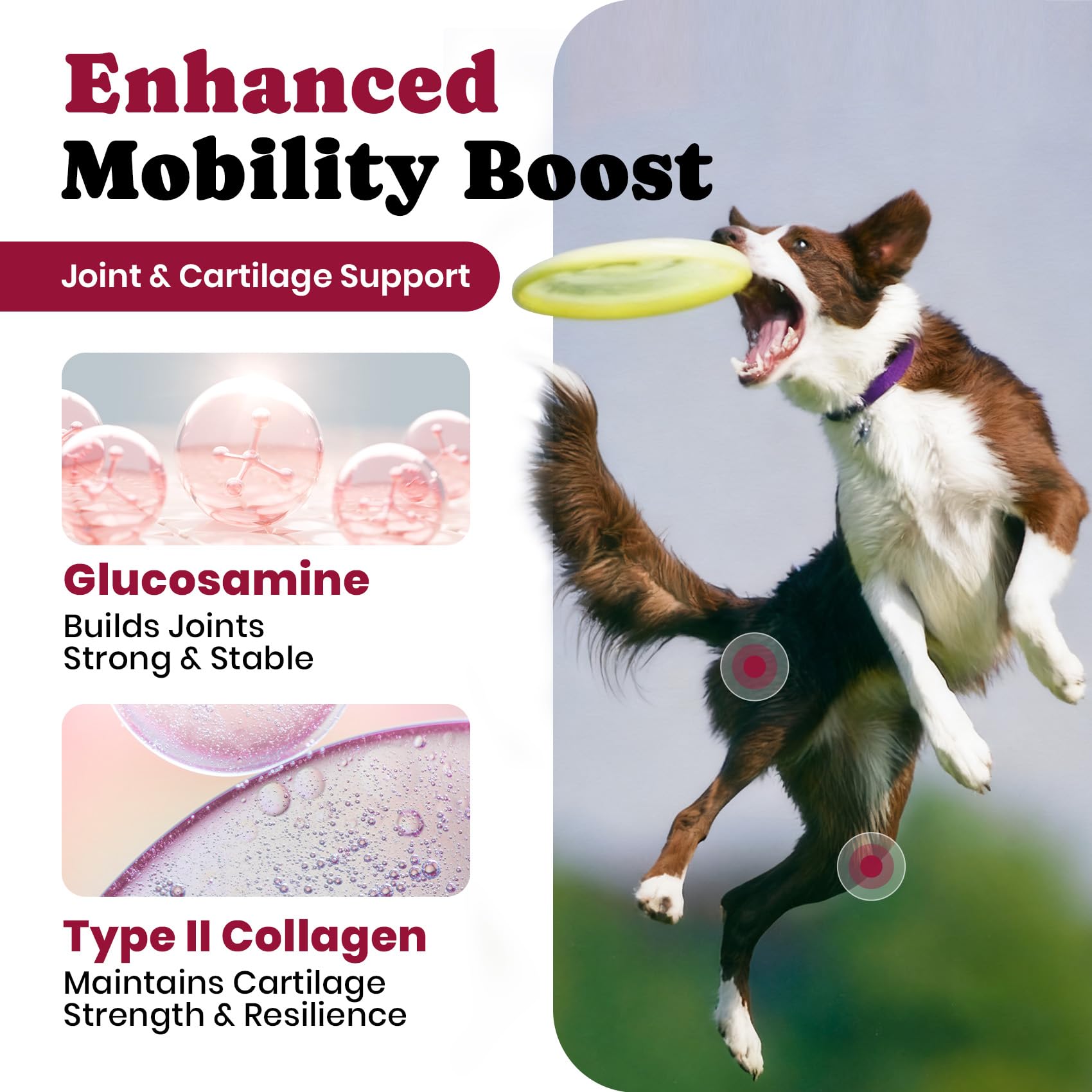 Glucosamine for Dogs - Hip and Joint Supplement Chews for Senior & Large Breed, Joint Supplement for Dogs with Chondroitin, Wuffe Joint Chews for Pain Relief - 60-Day Satisfaction Guarantee - 180 Ct - image 3