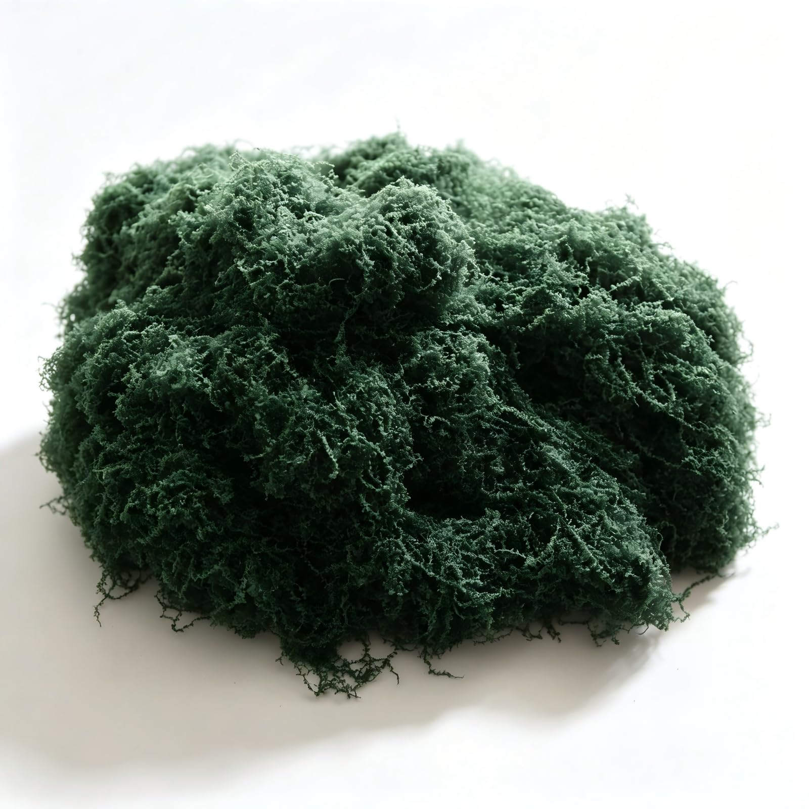 100g Loose Moss Green Artificial Moss Fibre Crafting,Terrariums & Models