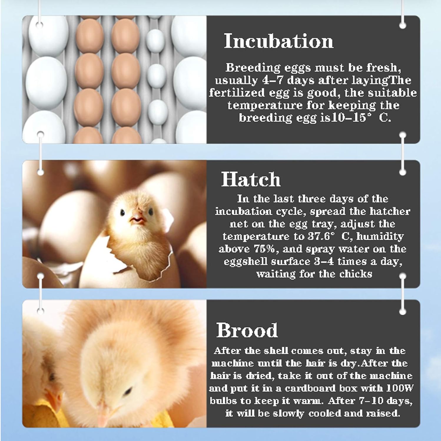 Pull-Out Automatic Egg Incubator with Temperature Control Fully Poultry Incubator Hatcher Machine with Egg Turning for Eggs Quail Ducks Chickens Goose Birds