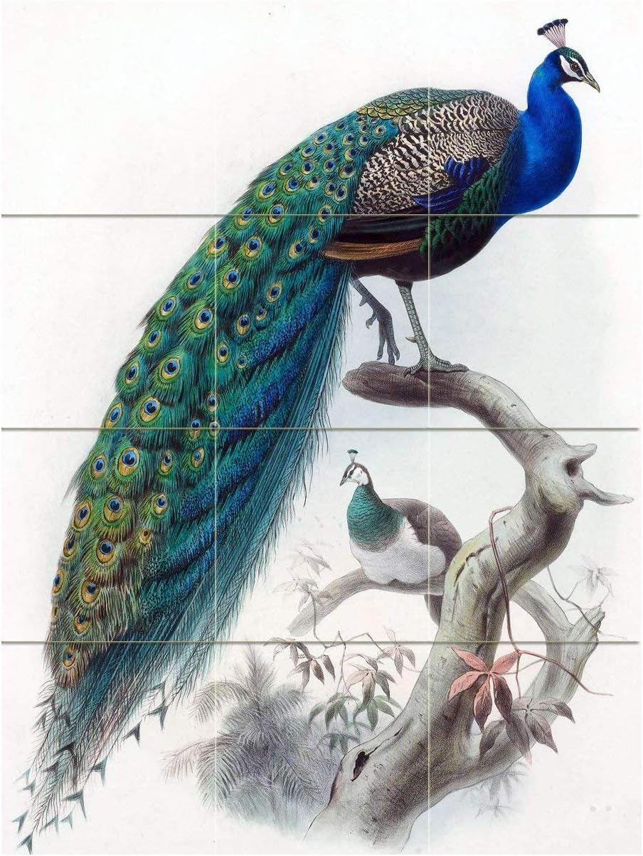 Bird Peacock by Daniel Giraud Elliot Tile Mural Kitchen Bathroom Wall Backsplash Behind Stove Range Sink Splashback 3x4 4.25" Ceramic, Matte