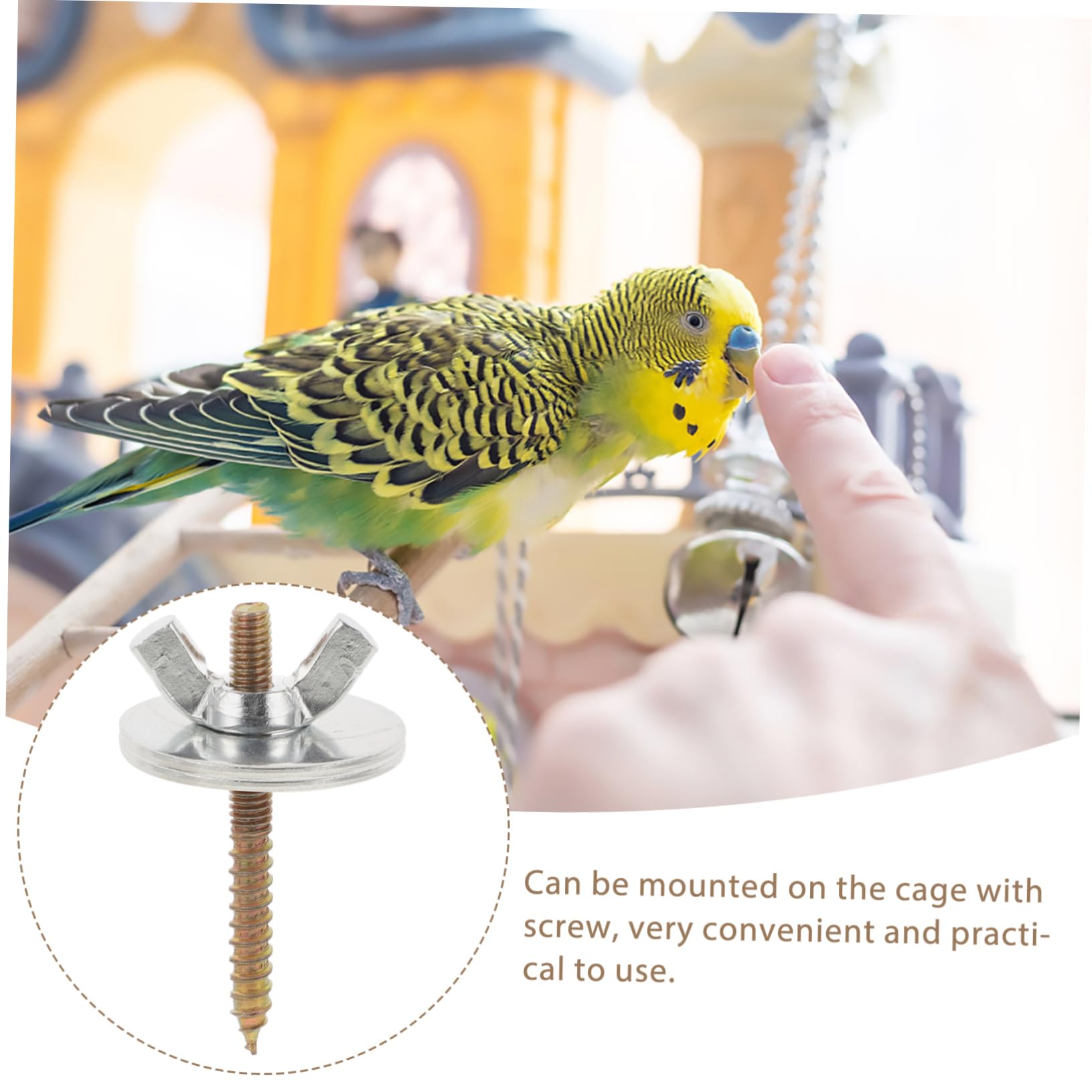 iplusmile 10 Ensembles Vis de Fixation pour Support de Cage à Oiseaux avec Écrous et Rondelles Accessoires de pour Perchoirs Vis Métalliques Durables pour Stabilité et Installation Facile