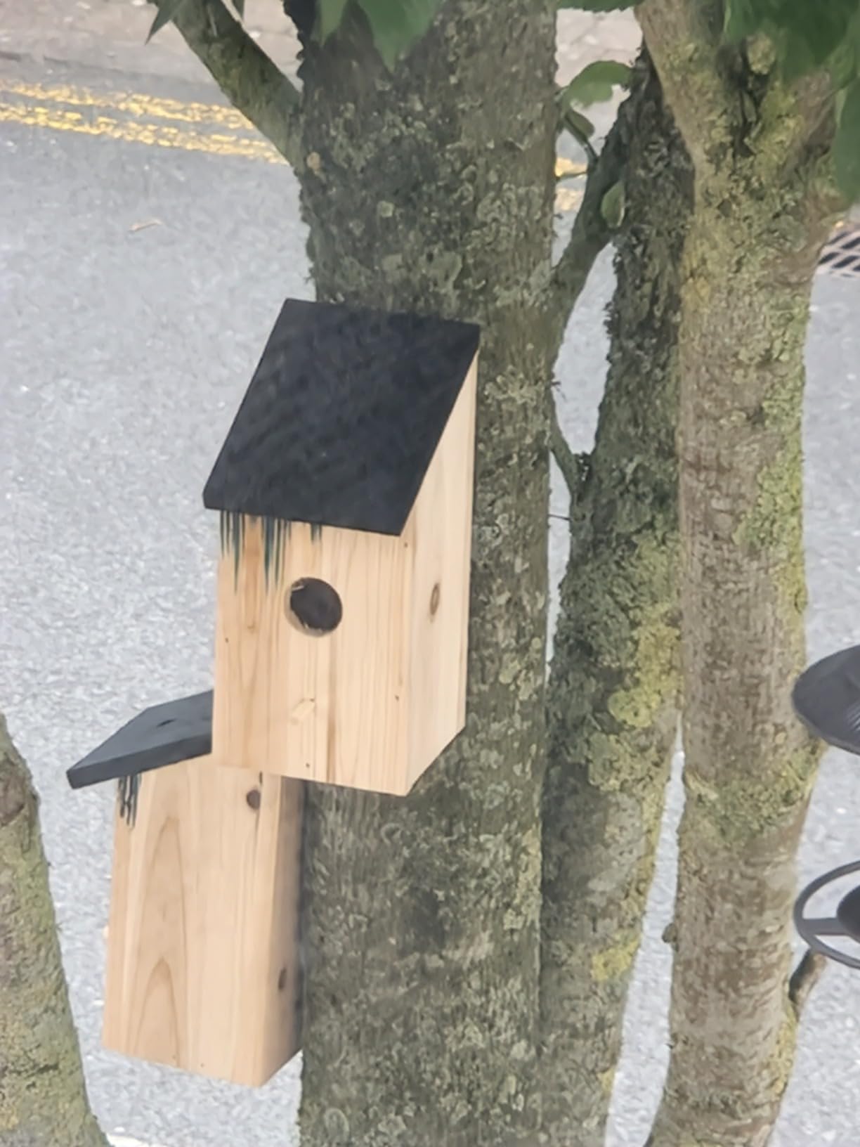 Ram© 2 X Wooden Wood Bird Nesting Box Nest Bird House Small Birds Blue ...