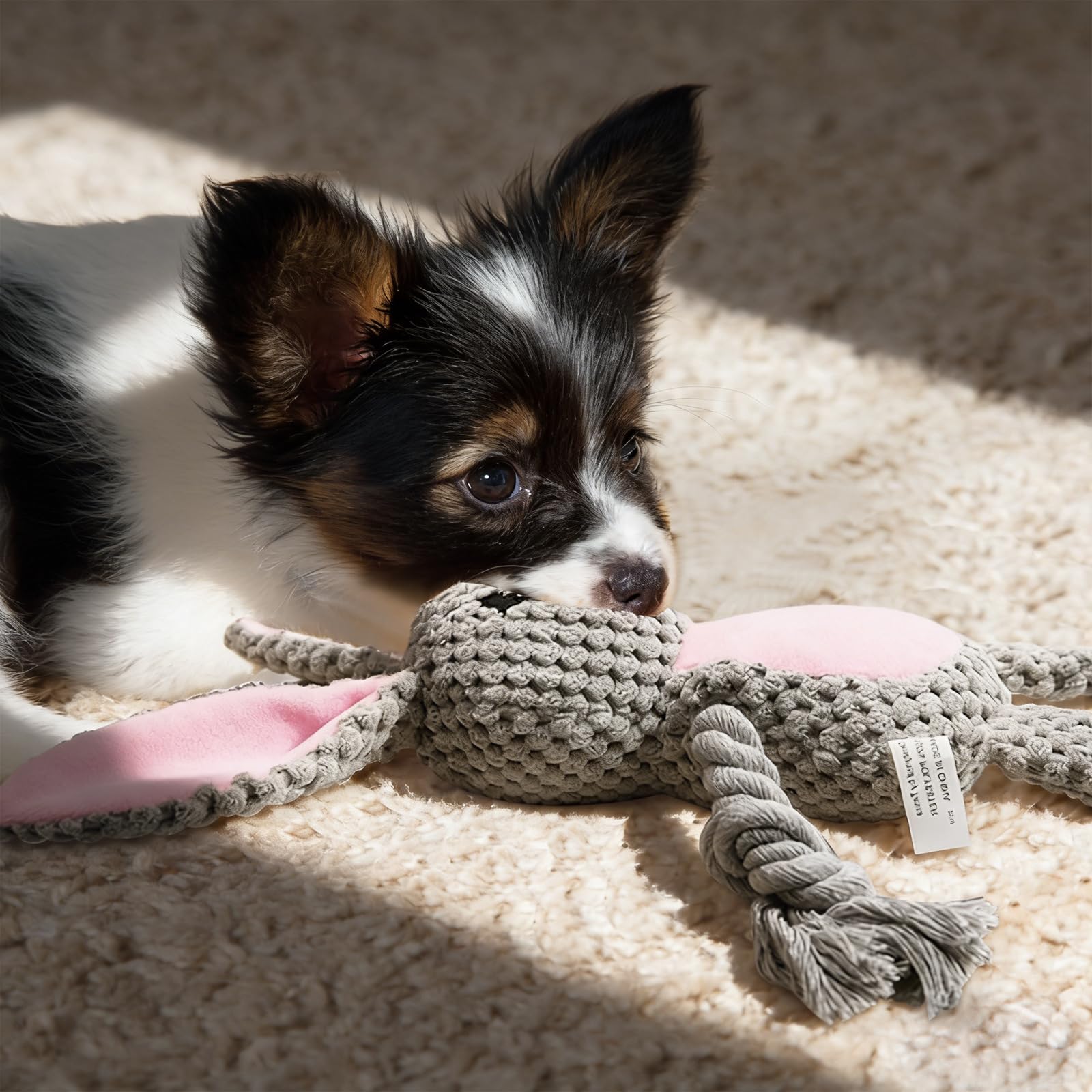 Grauer Hase Hundespielzeug mit Quietsche und Knisterpapier - Plüschtier mit Baumwollseil für Tauziehen - Interaktives Kuscheltier für Welpen, kleine & mittelgroße Hunde - Ideal als Ostergeschenk