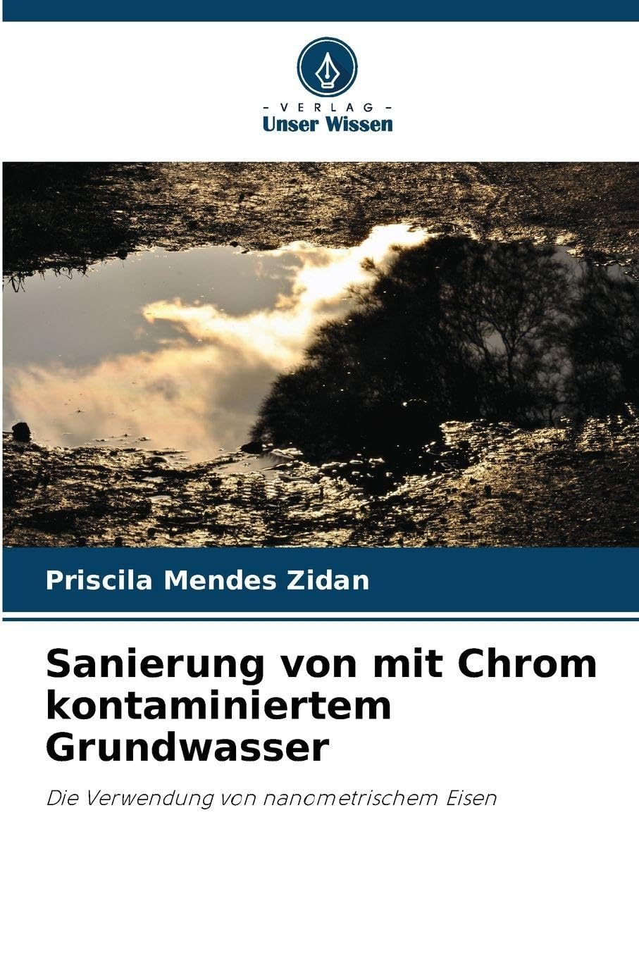 Sanierung von mit Chrom kontaminiertem Grundwasser: Die Verwendung von nanometrischem Eisen