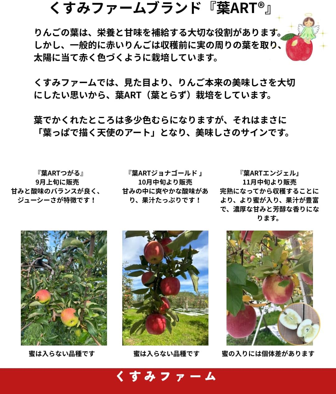 【糖度14度以上 葉とらず サンふじ ご家庭用】10kg 葉ARTエンジェル 家庭用 良品 農家直営 甘い 美味しい 【新潟】 果