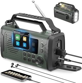 20000mAh Radio A Manovella DAB+ FM, Radios Emergenza Solare Bluetooth Con Sveglia, Allarme Di Emergenza Sos, Torcia E Luce Di Lettura, Torcia A Led (Verde)