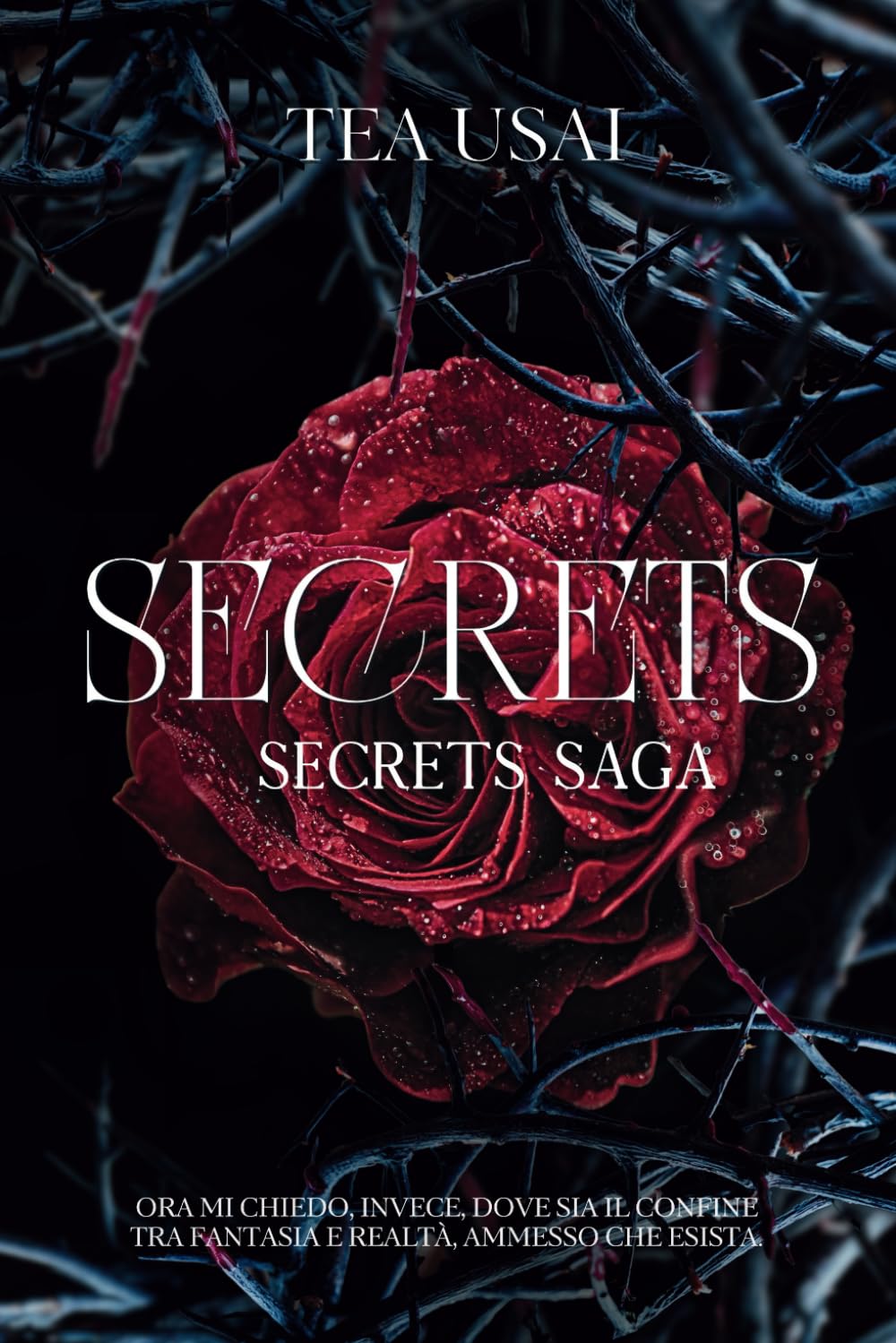 Secrets (SECRETS SAGA)