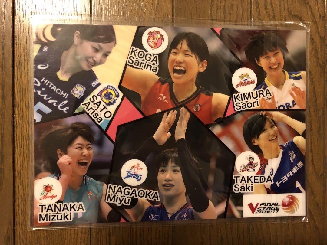 Amazon.co.jp: 火の鳥NIPPON Vリーグ 東レアローズ 下敷き 計3枚セット