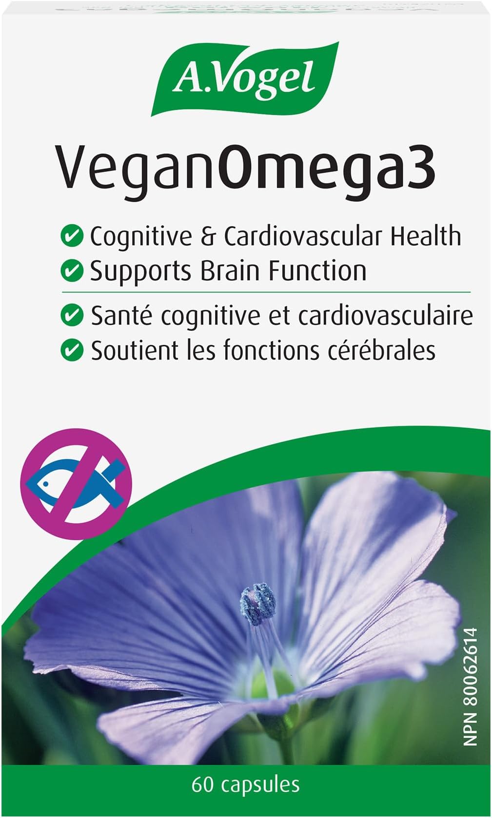 A Vogel Omega, 60 CT