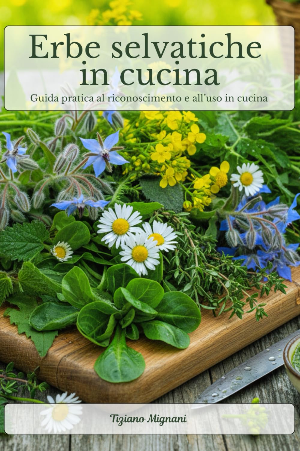 Erbe selvatiche in cucina: Guida pratica al riconoscimento e all’uso in cucina delle erbe spontanee più comuni. Riconoscere, raccogliere e cucinare in sicurezza le erbe di campo.