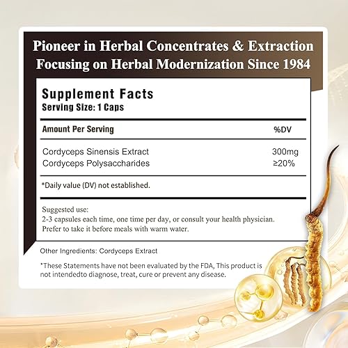 Miniatura 2 de Cordyceps - Cápsula 3G, refuerzo de energía y apoyo inmunológico, extracto puro de Cordyceps 12X, 40 cápsulas (1 botella)