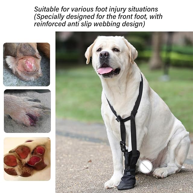 Foto 7 de 8 de YIGZYCN Zapato de recuperación de patas delanteras para perro, transpirable, suave, resistente al agua