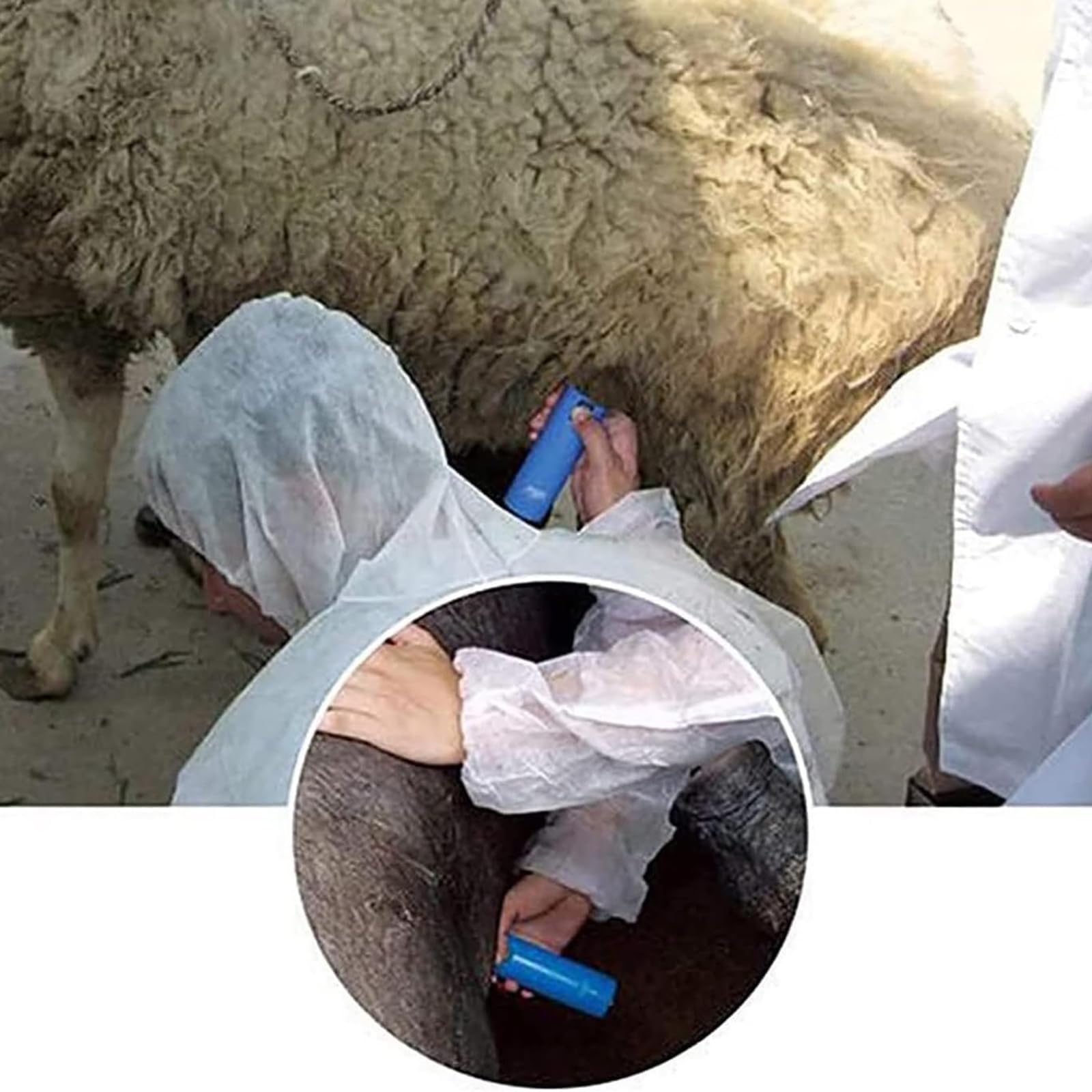 Ecógrafo Veterinario Para Detectar El Embarazo, Ecógrafo Portátil Para Cerdos, Con Sonda Ultrasónica Impermeable De 360°, Indicador Luminoso Y Sonoro, Equipo De Diagnóstico Portátil Para La Inspección