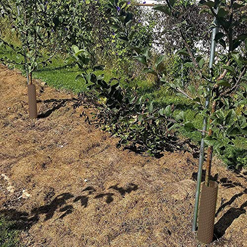 Smart Spring Plant And Tree Guard Protector; Wrap Tall Expandable Grow Tubes Around Trunk Bark, Landscape Plants, Saplings, And Vines; Protection From Trimmers & Weed Whackers (Brown) (6) #TOP3