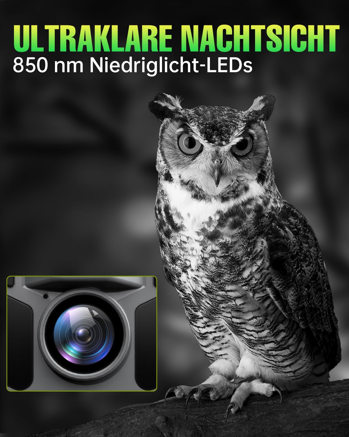 4K 64MP Wildkamera Solar, Eingebaute 5000mAh Lithium-Batterie, 0.2s Auslöser Bewegungsaktiviert, Wildtierkamera mit Nachtsicht, IP67 Wasserdicht, 120° Weitwinkel