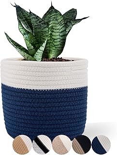 Cotton Rope Plant Basket Woven Baskets for 6