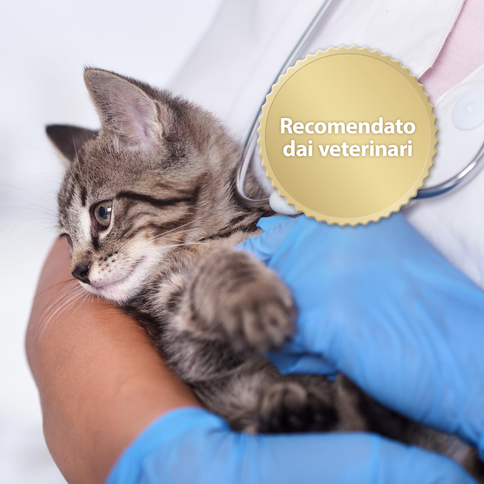 Felisept Home Comfort Spray Calmante Per L'Ambiente 100 ml - Con erba gatta naturale senza feromoni gatto - Benessere E Relax Per Il Gatto - Spray calmante gatto - Tranquillanti gatto