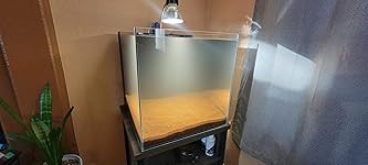 Review Image by Blaze weaver Blaze weaver