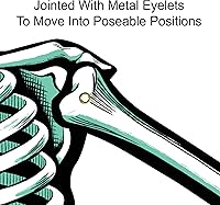 Vista 3 de Beistle - Esqueletos articulados, 22 pulgadas, blanco/negro