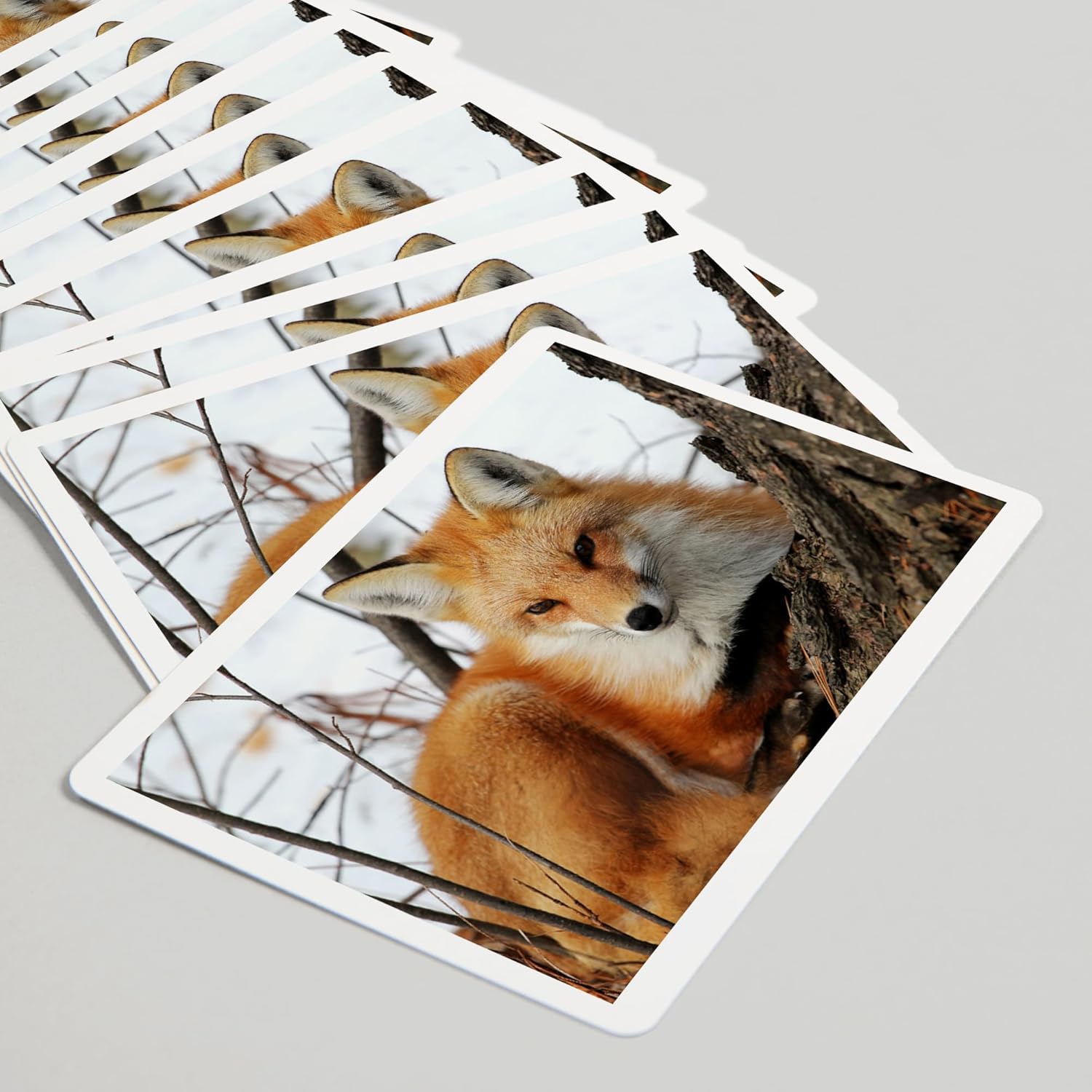 Lantern Press Red Fox in Winter, 52 Playing Cards for Adults, Poker Size Card Deck