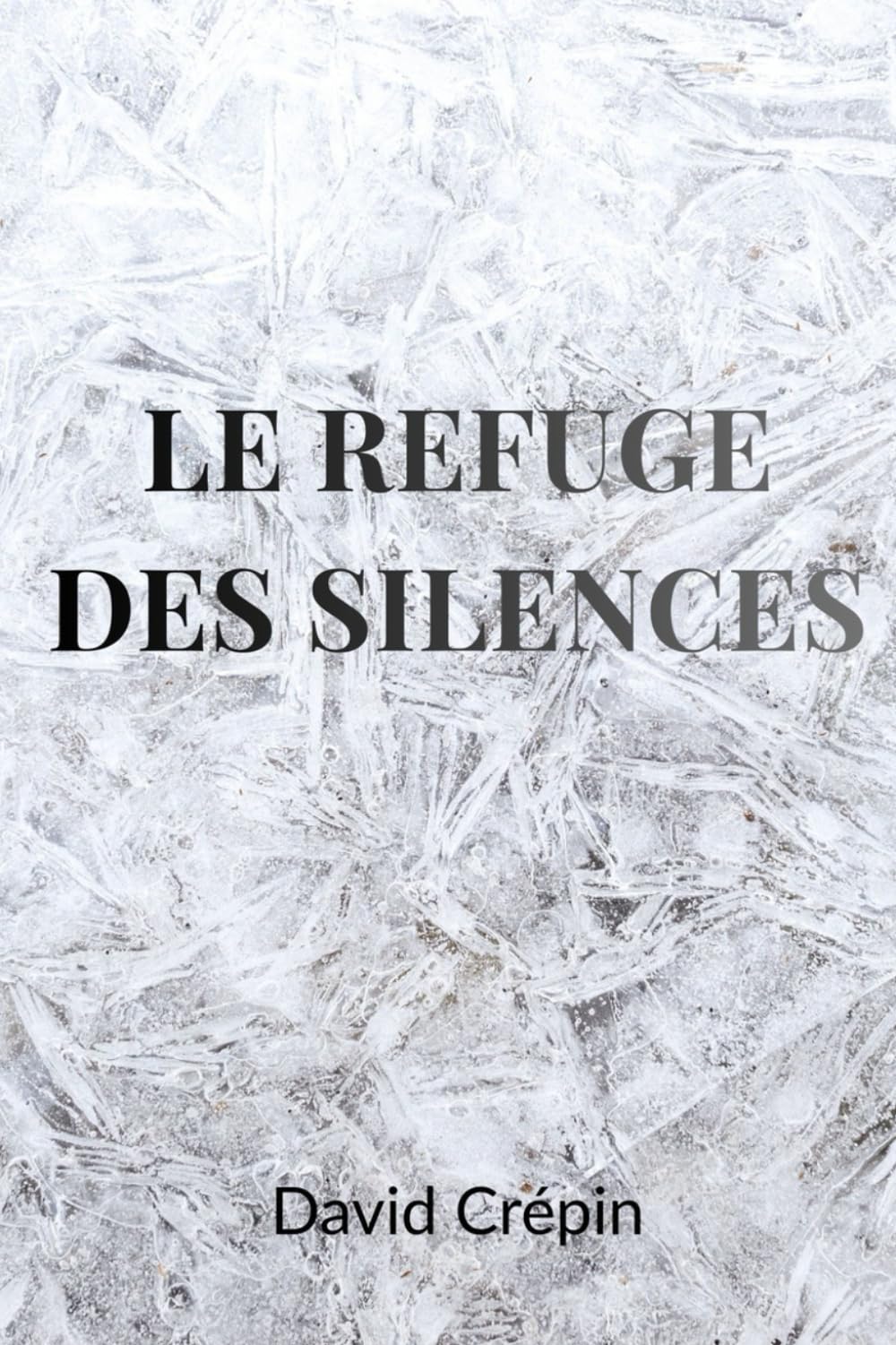 Le Refuge des Silences