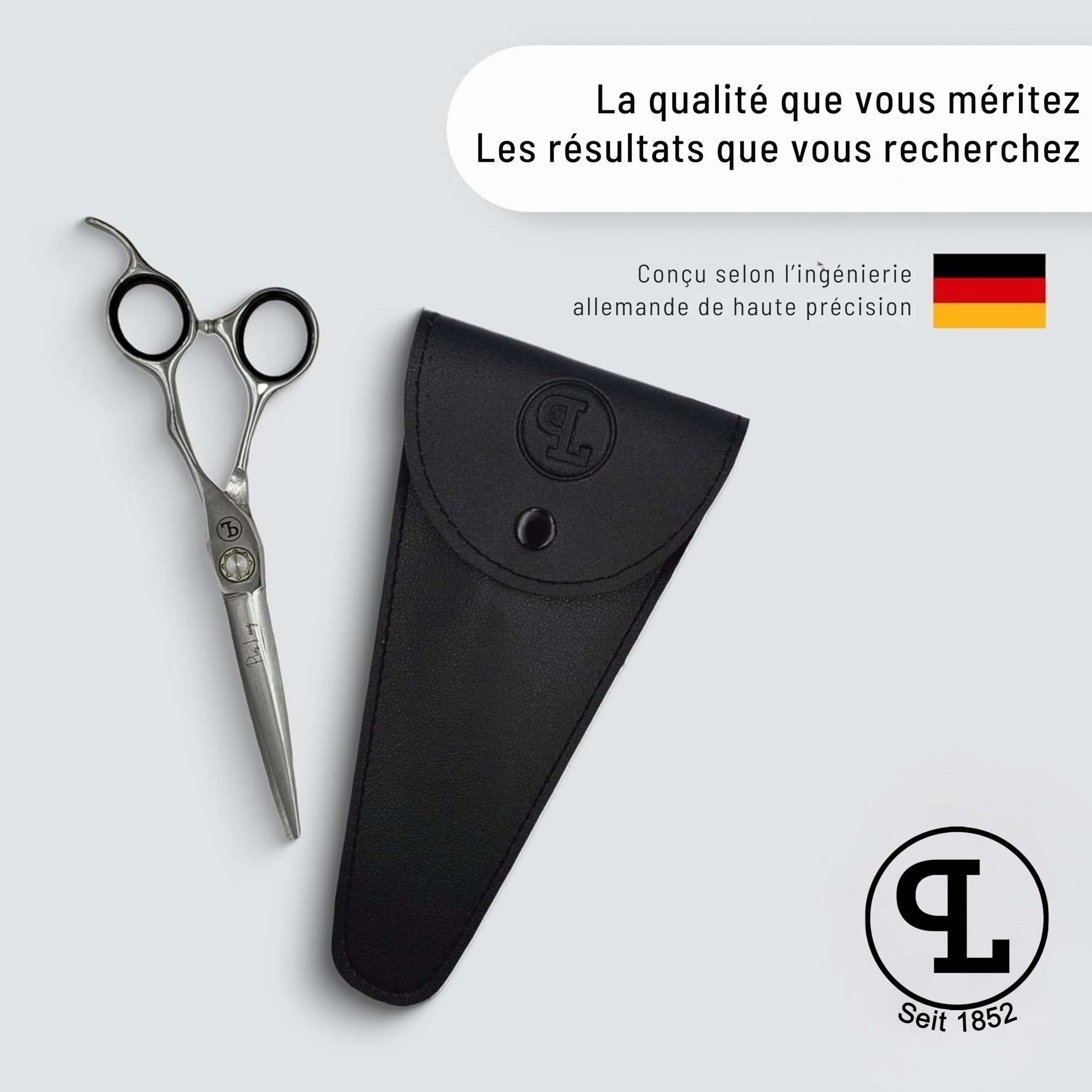 Ciseaux de Coiffure Professionnels 6,5" Lames Convexes Système de Tension à Roulement à Billes Étui