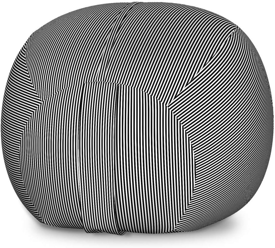 Ambesonne Pinstripe Storage Toy Bag Chair, Classic Vintage Style Black and White Geometric Prehistoric Simple Background, Stuffed Animal Organizer Washable Bag, Large Size, Black White