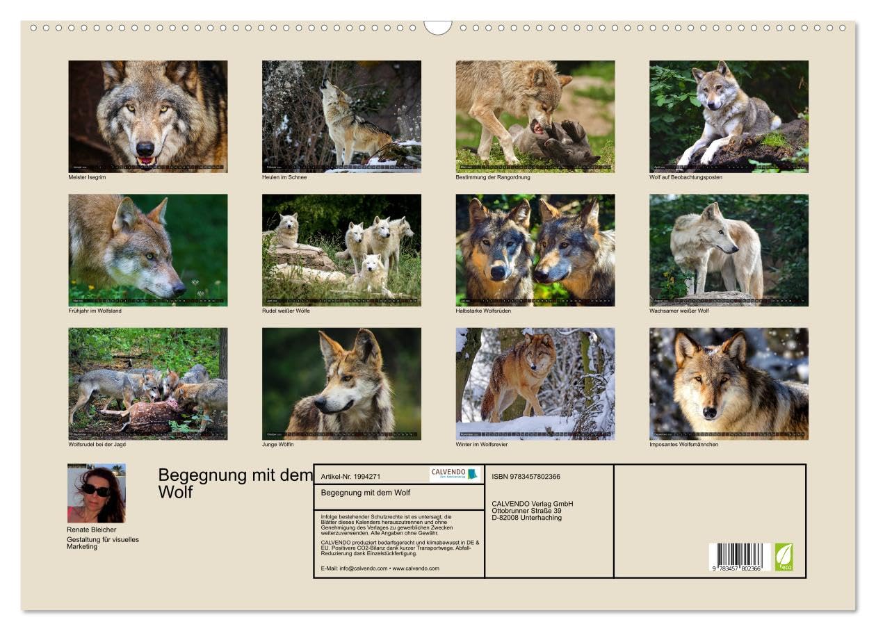 Begegnung mit dem Wolf (Wandkalender 2026 DIN A2 quer), CALVENDO Monatskalender: Faszinierende Aufnahmen von Wölfen aus verschiedenen Territorien (CALVENDO Tiere)