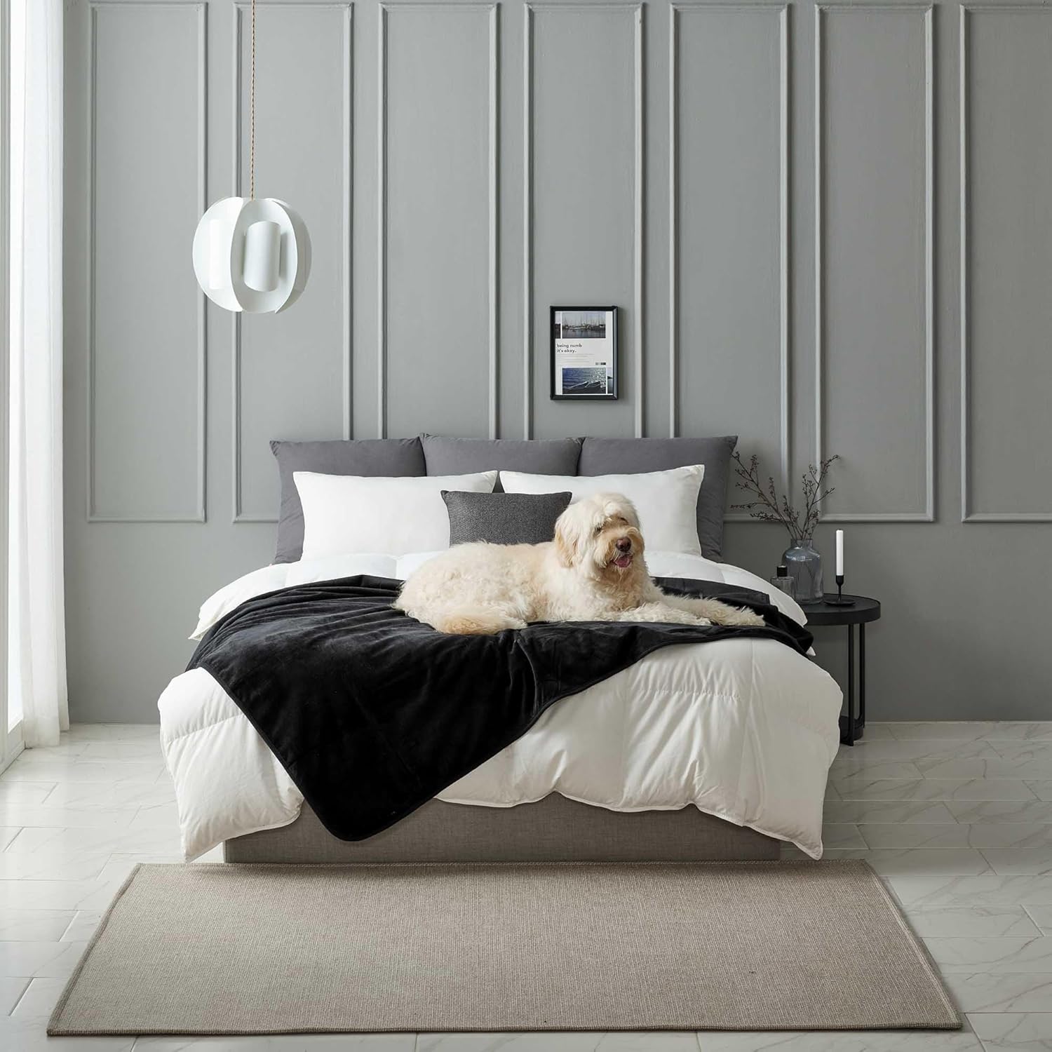 Waterproof Pet Blanket, Liquid Pee Proof, Sherpa Fleece Protector – Pet Hair Resistant Water Proof Bed Cover for Dogs Couch Sofa Car Bedding Comforter (Black, 60"x80")