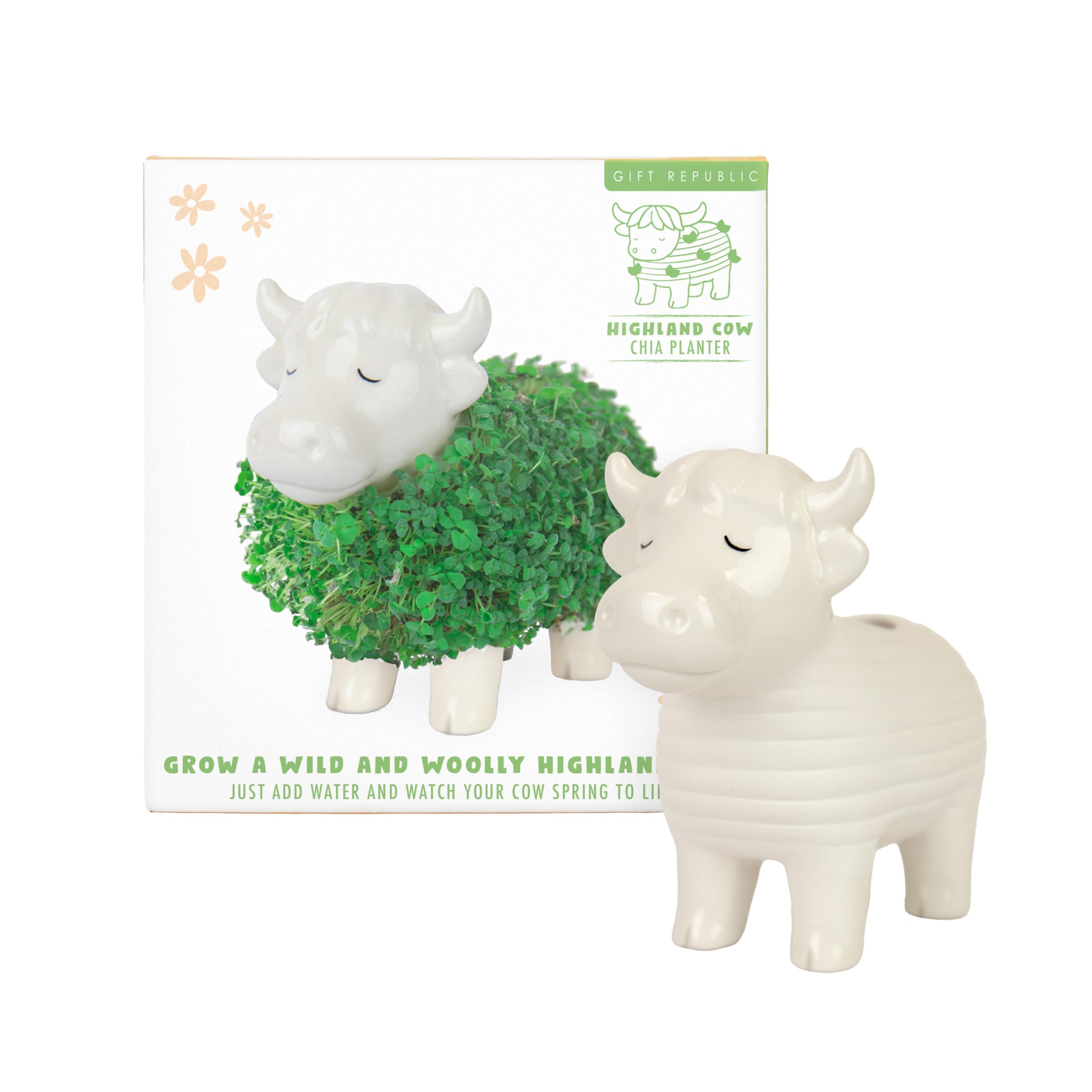 Jardinière en forme de vache des Highland Chia - Joli ornement de bureau en forme d'animal, mini kit de jardin pour cultiver votre petite plante pour enfants et adultes