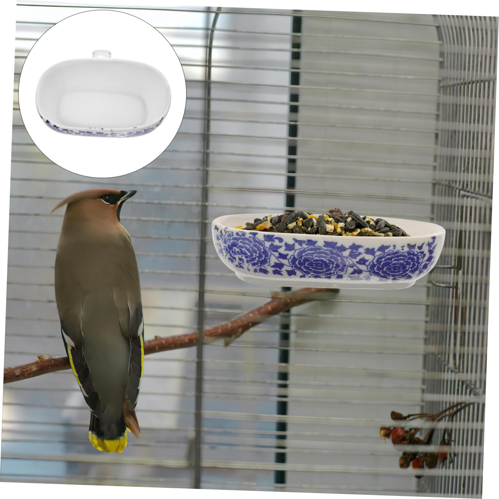 SUPVOX 10piezas Bañera De Pájaros Bañera De Plástico para Periquitos y Aves Segura Bordes Suaves para Cuidado Higiene De Mascotas